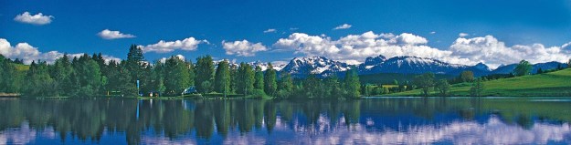 463366_285157061555884_10255994_o